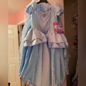 Cinderella Dress